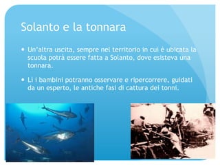 Solanto e la tonnara 
— Un’altra uscita, sempre nel territorio in cui è ubicata la 
scuola potrà essere fatta a Solanto, dove esisteva una 
tonnara. 
— Lì i bambini potranno osservare e ripercorrere, guidati 
da un esperto, le antiche fasi di cattura dei tonni. 
 