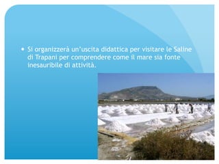 — Si organizzerà un’uscita didattica per visitare le Saline 
di Trapani per comprendere come il mare sia fonte 
inesauribile di attività. 
 
