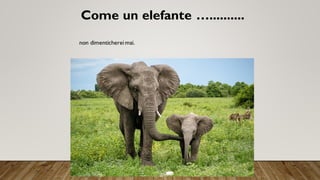 Come un elefante …..........
non dimenticherei mai.
 