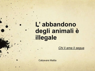 L’ abbandono degli animali è illegale Chi li ama li segua Calzavara Mattia 