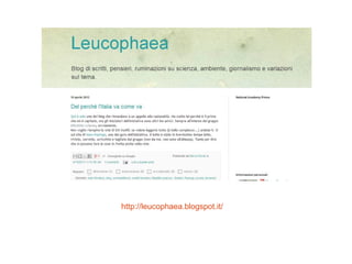 http://leucophaea.blogspot.it/

 