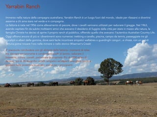 E’ piacevole condividere con gli abitanti della fattoria i momenti di relax,
ma davvero emozionante è condividere quelli di lavoro: radunare il
bestiame, curare i cavalli, perlustrare la proprietà. Più di 1000 ettari di
terreno, più di 30 magnifici cavalli, simpatici ed esperti wranglers pronti a
guidarvi nelle avventure a cavallo, anche per i principianti.
Yarrabin Ranch
Immerso nella natura della campagna australiana, Yarrabin Ranch è un luogo fuori dal mondo, ideale per rilassarsi e divertirsi
assieme a chi ama stare nel verde e in compagnia.
La fattoria è nata nel 1956 come allevamento di pecore, dove i cavalli venivano utilizzati per radunare il gregge. Nel 1963,
avendo ospitato fin da subito moltissimi amici che avevano il desiderio di fuggire dalla città per stare in mezzo alla natura, la
famiglia Christie ha deciso di aprire il proprio ranch al pubblico, offrendo quello che avevano: l’autentico Australian Country Life.
Oggi offrono ancora di più e i divertimenti sono numerosi: trekking a cavallo, piscina, campo da tennis, passeggiate tra gli
eucalipti e alberi della gomma, dove sarà facile incontrare simpatici wallabies o guardinghi canguri...e chissà, con un po’ di
fortuna potrai trovare l’oro nelle miniere o nello storico Wiseman's Creek!
	
  
 