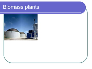 Biomass plants - Biomass are renewable energy; - They can find use as combustible; - They can be used in the production of electricity,heat and tractions. 
