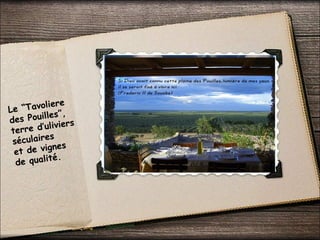 Le “Tavoliere
des Pouilles”,
terre d’uliviers
séculaires
et de vignes
de qualité.
 
