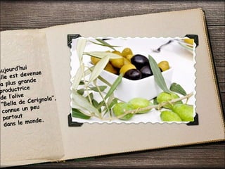Aujourd’hui
elle est devenue
la plus grande
productrice
de l’olive
“Bella de Cerignola”,
connue un peu
partout
dans le monde.
 