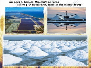 Aux pieds du Gargano, Margherita de Savoia,
célèbre pour ses maraises, parmi les plus grandes d’Europe.
 