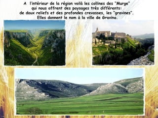 A l’intérieur de la région voilà les collines des “Murge”
qui nous offrent des paysages très différents:
de doux reliefs et des profondes crevasses, les “gravines”.
Elles donnent le nom à la ville de Gravina.
 