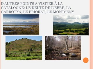 D’AUTRES POINTS A VISITER À LA
CATALOGNE: LE DELTE DE L’EBRE, LA
GARROTXA, LE PRIORAT, LE MONTSENY
 