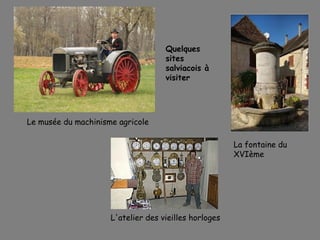 Le musée du machinisme agricole
La fontaine du
XVIème
L'atelier des vieilles horloges
Quelques
sites
salviacois à
visiter
 