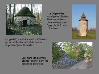 La gariotte est une construction en
pierre sèche servant d’abri ou de
rangement pour les outils.
Le pigeonnier:
les pigeons étaient
élevés pour leur
chair comme pour
l’engrais tiré de la
colombine.
Les murs de pierres
sèches délimitaient les
parcelles agricoles .
 
