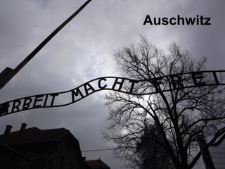 Auschwitz
 