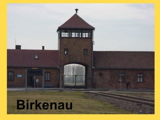 Birkenau
 