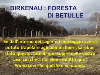BIRKENAU : FORESTA
                 DI BETULLE



“Sedall’interno dei Lager un messaggio avesse
 potuto trapelare agli uomini liberi, sarebbe
 stato questo: fate di non subire nelle vostre
     case ciò che a noi viene inflitto qui.”
      Primo Levi «Se questo è un uomo»
 