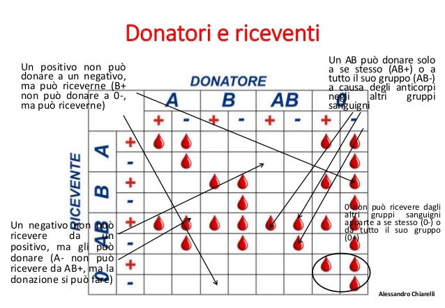 Lo 0 Positivo A Chi Può Donare