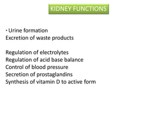 * Urine formation
Excretion of waste products
Regulation of electrolytes
Regulation of acid base balance
Control of blood pressure
Secretion of prostaglandins
Synthesis of vitamin D to active form
KIDNEY FUNCTIONS
 
