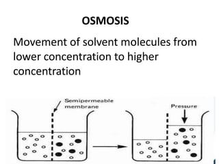 OSMOSIS
Movement of solvent molecules from
lower concentration to higher
concentration
 