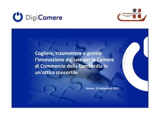 Cogliere, trasmettere e gestire
l'innovazione digitale per le Camere
di Commercio della Lombardia in
un'ottica consortile

                       Varese, 13 settembre 2011




                                                   © Digicamere 2011
 