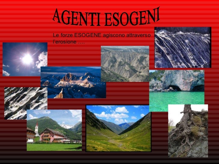 Quali Sono Le Forze Esogene