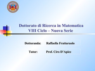 Dottoranda:  Raffaella Frattaruolo Dottorato di Ricerca in Matematica VIII Ciclo – Nuova Serie   Tutor:  Prof. Ciro D’Apice  