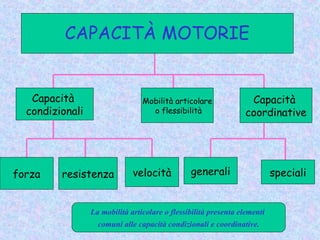 La mobilità articolare o flessibilità presenta elementi
comuni alle capacità condizionali e coordinative.
Capacità
condizionali
Mobilità articolare
o flessibilità
Capacità
coordinative
forza resistenza velocità generali speciali
CAPACITÀ MOTORIE
 