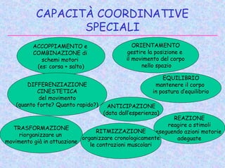 CAPACITÀ COORDINATIVE
SPECIALI
ACCOPPIAMENTO e
COMBINAZIONE di
schemi motori
(es: corsa + salto)
ORIENTAMENTO
gestire la posizione e
il movimento del corpo
nello spazio
DIFFERENZIAZIONE
CINESTETICA
del movimento
(quanto forte? Quanto rapido?)
EQUILIBRIO
mantenere il corpo
in postura d’equilibrio
REAZIONE
reagire a stimoli
eseguendo azioni motorie
adeguate
TRASFORMAZIONE
riorganizzare un
movimento già in attuazione
RITMIZZAZIONE
organizzare cronologicamente
le contrazioni muscolari
ANTICIPAZIONE
(data dall’esperienza)
 