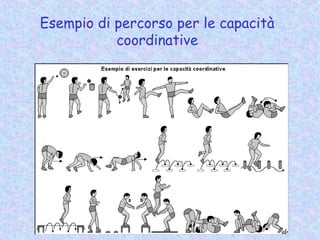 Esempio di percorso per le capacità
coordinative
 