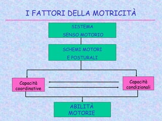 I FATTORI DELLA MOTRICITÀ
SISTEMA
SENSO MOTORIO
SCHEMI MOTORI
E POSTURALI
Capacità
coordinative
Capacità
condizionali
ABILITÀ
MOTORIE
 