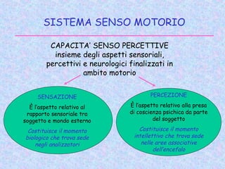 SISTEMA SENSO MOTORIO
CAPACITA’ SENSO PERCETTIVE
insieme degli aspetti sensoriali,
percettivi e neurologici finalizzati in
ambito motorio
SENSAZIONE
È l’aspetto relativo al
rapporto sensoriale tra
soggetto e mondo esterno
Costituisce il momento
biologico che trova sede
negli analizzatori
PERCEZIONE
È l’aspetto relativo alla presa
di coscienza psichica da parte
del soggetto
Costituisce il momento
intellettivo che trova sede
nelle aree associative
dell’encefalo
 