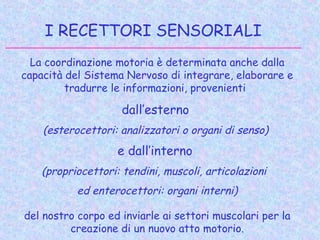 I RECETTORI SENSORIALI
 La coordinazione motoria è determinata anche dalla
capacità del Sistema Nervoso di integrare, elaborare e
tradurre le informazioni, provenienti
dall’esterno
(esterocettori: analizzatori o organi di senso)
e dall’interno
(propriocettori: tendini, muscoli, articolazioni
ed enterocettori: organi interni)
del nostro corpo ed inviarle ai settori muscolari per la
creazione di un nuovo atto motorio.
 