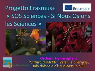 Progetto Erasmus+
« SOS Sciences - Si Nous Osions
les Sciences »
Ordine: Hymenoptera
Puntura d’insetti : Veleni e allergeni,
solo dolore o c’è qualcosa in più?
 