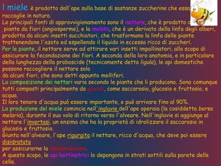 l miele è prodotto dall'ape sulla base di sostanze zuccherine che essa
raccoglie in natura.
Le principali fonti di approvvigionamento sono il nettare, che è prodotto dalle
piante da fiori (angiosperme), e la melata, che è un derivato della linfa degli alberi,
prodotta da alcuni insetti succhiatori, che trasformano la linfa delle piante
trattenendone l'azoto ed espellendo il liquido in eccesso ricco di zuccheri.
Per le piante, il nettare serve ad attirare vari insetti impollinatori, allo scopo di
assicurare la fecondazione dei fiori. A seconda della loro anatomia, e in particolare
della lunghezza della proboscide (tecnicamente detta ligula), le api domestiche
possono raccogliere il nettare solo
da alcuni fiori, che sono detti appunto melliferi.
La composizione dei nettari varia secondo le piante che li producono. Sono comunque
tutti composti principalmente da glucidi, come saccarosio, glucosio e fruttosio, e
acqua.
Il loro tenore d'acqua può essere importante, e può arrivare fino al 90%.
La produzione del miele comincia nell'ingluvie dell'ape operaia (la cosiddetta borsa
melaria), durante il suo volo di ritorno verso l'alveare. Nell'ingluvie si aggiunge al
nettare l'invertasi, un enzima che ha la proprietà di idrolizzare il saccarosio in
glucosio e fruttosio.
Giunta nell'alveare, l'ape rigurgita il nettare, ricco d'acqua, che deve poi essere
disidratato
per assicurarne la conservazione.
A questo scopo, le api bottinatrici lo depongono in strati sottili sulla parete delle
celle.
 