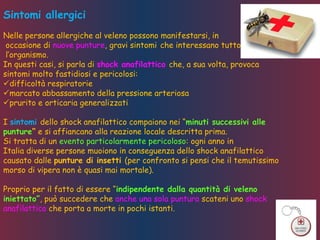 Sintomi allergici
Nelle persone allergiche al veleno possono manifestarsi, in
occasione di nuove punture, gravi sintomi che interessano tutto
l’organismo.
In questi casi, si parla di shock anafilattico che, a sua volta, provoca
sintomi molto fastidiosi e pericolosi:
difficoltà respiratorie
marcato abbassamento della pressione arteriosa
prurito e orticaria generalizzati
I sintomi dello shock anafilattico compaiono nei “minuti successivi alle
punture” e si affiancano alla reazione locale descritta prima.
Si tratta di un evento particolarmente pericoloso: ogni anno in
Italia diverse persone muoiono in conseguenza dello shock anafilattico
causato dalle punture di insetti (per confronto si pensi che il temutissimo
morso di vipera non è quasi mai mortale).
Proprio per il fatto di essere “indipendente dalla quantità di veleno
iniettato”, può succedere che anche una sola puntura scateni uno shock
anafilattico che porta a morte in pochi istanti.
 