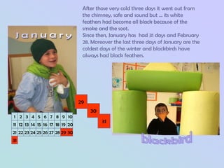 After those very cold three days it went out from
                                 the chimney, safe and sound but ... its white
                                 feathers had become all black because of the
                                 smoke and the soot.
                                 Since then, January has had 31 days and February
                                 28. Moreover the last three days of January are the
                                 coldest days of the winter and blackbirds have
                                 always had black feathers.




                                29
                                     30
1 2 3 4 5 6 7 8 9 10
                                          31
11 12 13 14 15 16 17 18 19 20
21 22 23 24 25 26 27 28 29 30
31
 