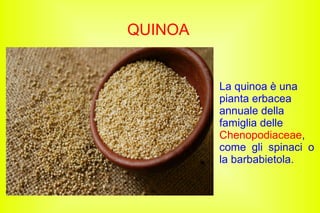 QUINOA
La quinoa è una
pianta erbacea
annuale della
famiglia delle
Chenopodiaceae,
come gli spinaci o
la barbabietola.
 