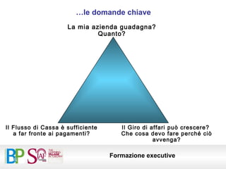 La mia azienda guadagna? Quanto? Il Flusso di Cassa è sufficiente a far fronte ai pagamenti? Il Giro di affari può crescere?  Che cosa devo fare perché ciò avvenga? … le domande chiave 