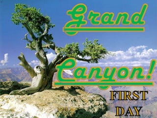 StratosphereHotelWehavealsobooked at the Stratosphere Hotel. It’s so special and itcosts 95 €.2000 South Las Vegas Boulevard, Las Vegas Strip, NV 89131 Las Vegas (Nevada)