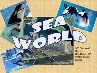 SeconddayIn San diego