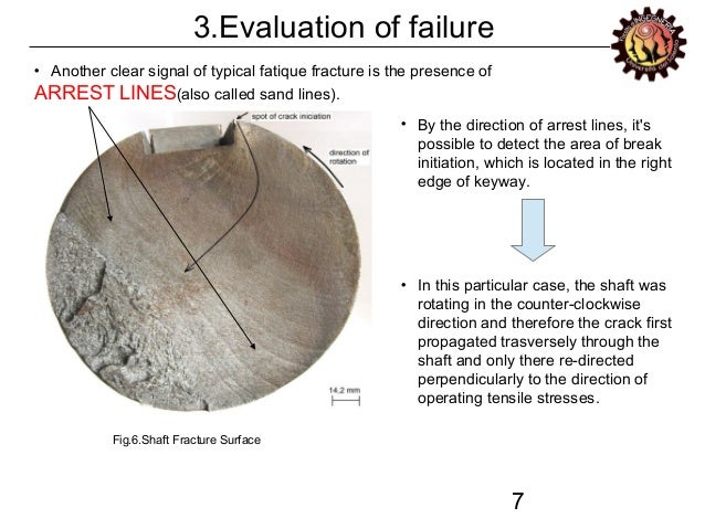 8.8 steel material finale Presentazione