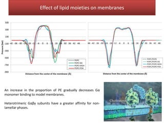 Effect of lipid moieties on membranes




An increase in the proportion of PE gradually decreases Gα
monomer binding to model membranes.

Heterotrimeric Gαβγ subunits have a greater affinity for non-
lamellar phases.
 