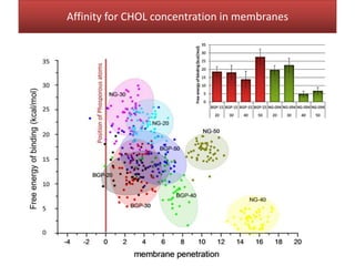 Affinity for CHOL concentration in membranes
 