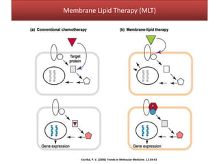 Membrane Lipid Therapy (MLT)




     Escribá, P. V. (2006) Trends in Molecular Medicine. 12:34-43
 