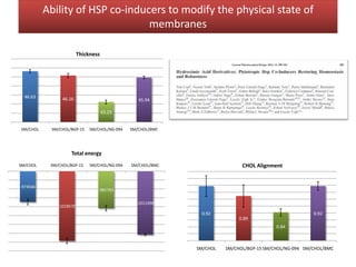 Ability of HSP co-inducers to modify the physical state of
membranes
46.63 46.16
43.23
45.94
SM/CHOL SM/CHOL/BGP-15 SM/CHOL/NG-094 SM/CHOL/BMC
Thickness
-974566
-1018570
-981763
-1011496
SM/CHOL SM/CHOL/BGP-15 SM/CHOL/NG-094 SM/CHOL/BMC
Total energy
0.92
0.89
0.84
0.92
SM/CHOL SM/CHOL/BGP-15 SM/CHOL/NG-094 SM/CHOL/BMC
CHOL Alignment
 