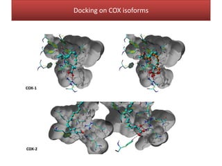 COX-1
COX-2
Docking on COX isoforms
 