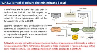 WP.3.2 Terreni di coltura che minimizzano i costi
Il confronto tra le stime dei costi per la
realizzazione, inclusi costi ...