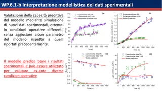 WP.6.1-b Interpretazione modellistica dei dati sperimentali
Valutazione della capacità predittiva
del modello mediante sim...