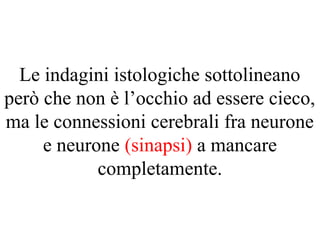 Le indagini istologiche sottolineano
però che non è l’occhio ad essere cieco,
ma le connessioni cerebrali fra neurone
e neurone (sinapsi) a mancare
completamente.
 