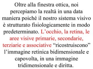 Oltre alla finestra ottica, noi
percepiamo la realtà in una data
maniera poiché il nostro sistema visivo
è strutturato fisiologicamente in modo
predeterminato. L’occhio, la retina, le
aree visive primarie, secondarie,
terziarie e associative “ricostruiscono”
l’immagine retinica bidimensionale e
capovolta, in una immagine
tridimensionale e diritta.
 