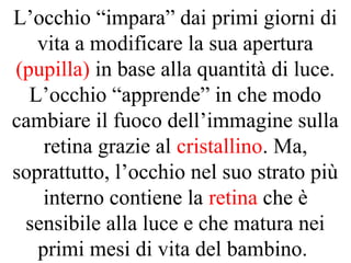 L’occhio “impara” dai primi giorni di
vita a modificare la sua apertura
(pupilla) in base alla quantità di luce.
L’occhio “apprende” in che modo
cambiare il fuoco dell’immagine sulla
retina grazie al cristallino. Ma,
soprattutto, l’occhio nel suo strato più
interno contiene la retina che è
sensibile alla luce e che matura nei
primi mesi di vita del bambino.
 