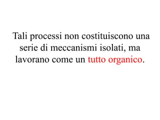 Tali processi non costituiscono una
serie di meccanismi isolati, ma
lavorano come un tutto organico.
 