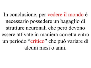 In conclusione, per vedere il mondo è
necessario possedere un bagaglio di
strutture neuronali che però devono
essere attivate in maniera corretta entro
un periodo “critico” che può variare di
alcuni mesi o anni.
 